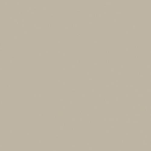 Elegant Gray