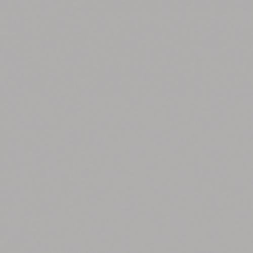 Silver Gray